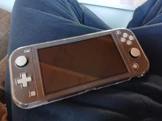 Nintendo Switch Lite Gris