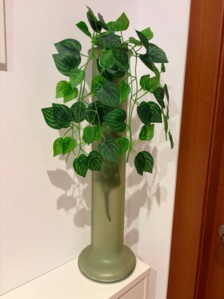 Planta mas jarrón verde para decoración