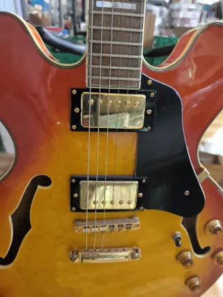 Guitarra Richwood Semi-acústica