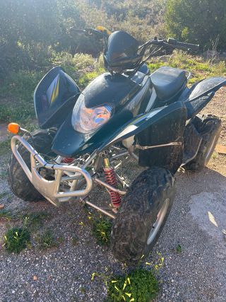 Quad Negro/Verde Todoterreno