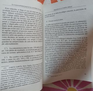 La responsabilidad penal de las actividades de ...