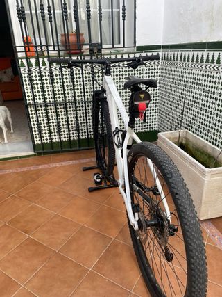 Orbea Alma 29 Bicicleta Montaña
