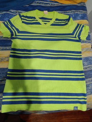 Camiseta Hollister Rayas Verde y Azul