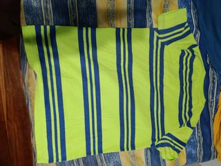 Camiseta Hollister Rayas Verde y Azul