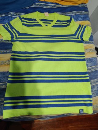 Camiseta Hollister Rayas Verde y Azul