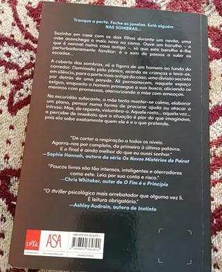 Livro em bom estado - Nas sombras