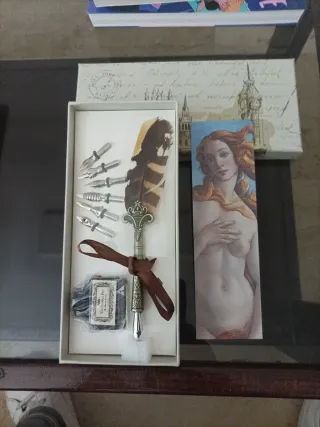 Set de plumas de escritura vintage