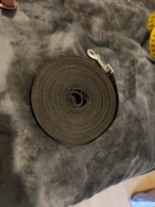 Correa para mascota 10m negra, 2cm ancho.