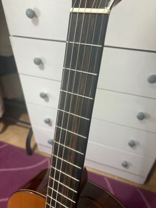 Guitarra Clásica Paco Castillo 204 más funda