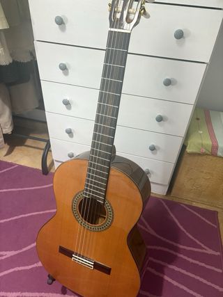 Guitarra Clásica Paco Castillo 204 más funda