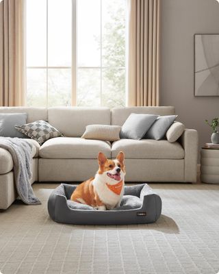 Feandrea Cama para Perros, Sofá Cama para Mascotas