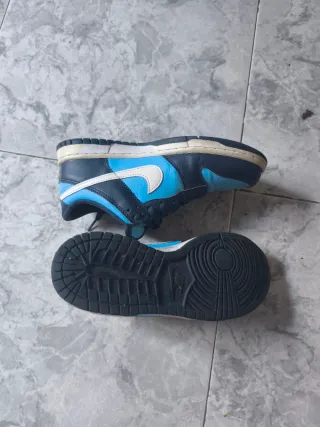 Nike Dunk Azules y Blancas