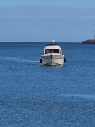 Sessa Marine Dorado 32