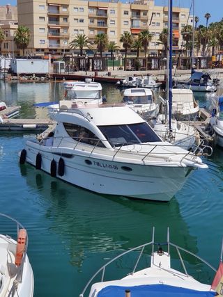 Sessa Marine Dorado 32