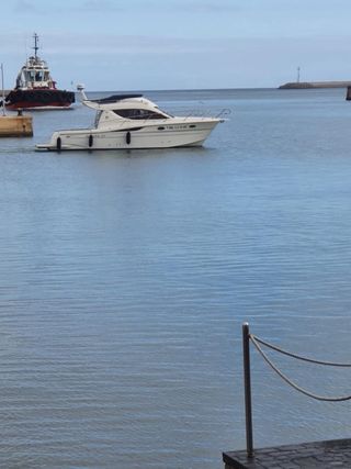 Sessa Marine Dorado 32