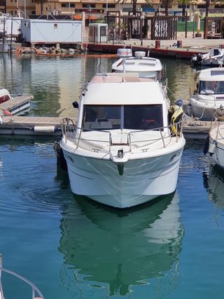 Sessa Marine Dorado 32