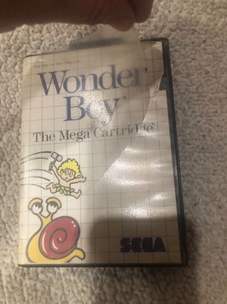 Lote 2juegos Sega Master System