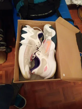 Nike Giannis Immortality 2 Zapatillas