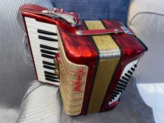 Fisarmonica Hohner Concerto I 48 bassi