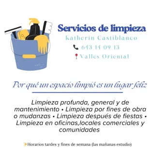 Servicios de limpieza