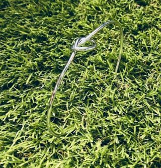 Pulsera Inseparables