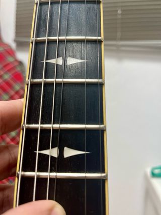 Guitarra Eléctrica Michael Kelly Patriot Decree