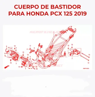 Chasis HONDA PCX 2020