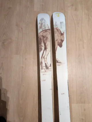 Esquís all mountain