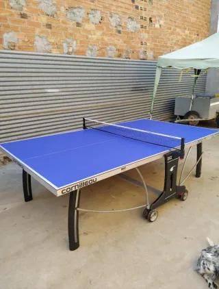 Mesa Ping Pong