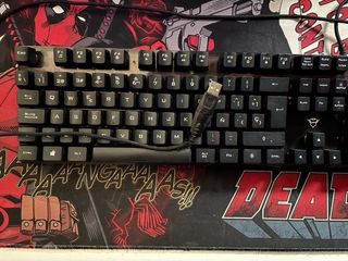 Teclado Gaming Mecánico RGB Trust Negro