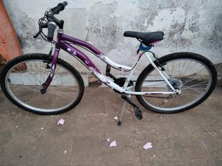 Bicicleta  morada y blanca