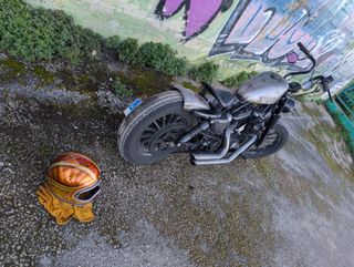 Harley Sportster Iron 2010
