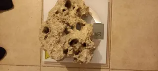 Roca Viva para Acuario marino