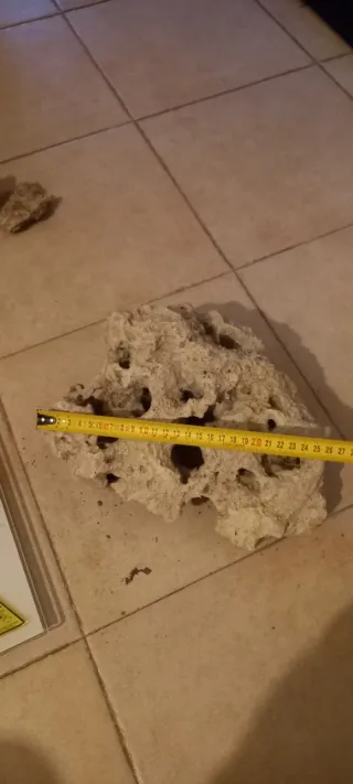 Roca Viva para Acuario marino