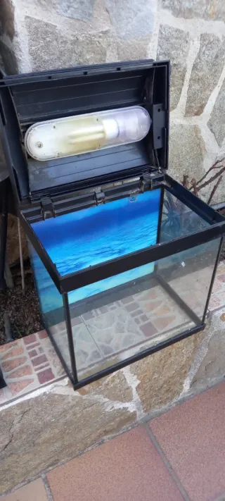 Acuario 25L Negro y Transparente