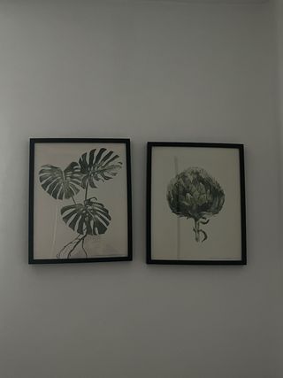 Quadri decorativi botanici