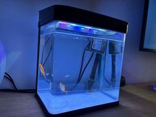 Acuario LED 7 litros con filtro