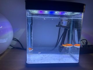 Acuario LED 7 litros con filtro