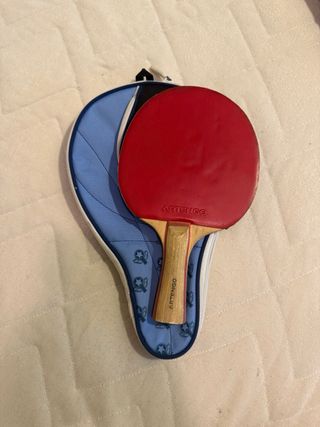 Pala de Ping Pong Artengo con funda