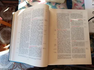 Biblia de Jerusalén antigua