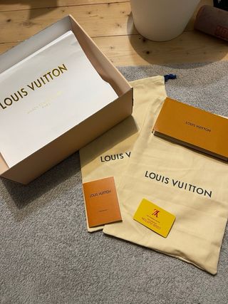 Louis Vuitton LV Skate Grigie