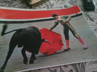 Foto de torero y toro