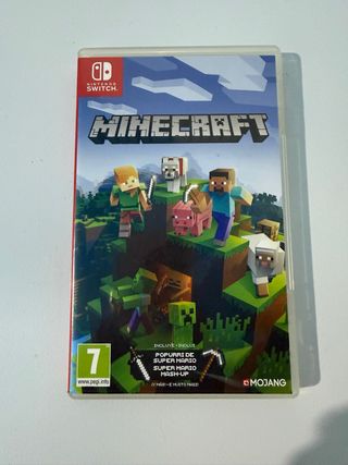 Minecraft Nintendo Switch 1