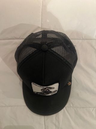 Gorra Goorin Bros Stallion Caballo Negra