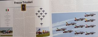 Frecce Tricolori