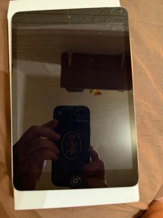 iPad Mini 2 Wifi + 4G Plata