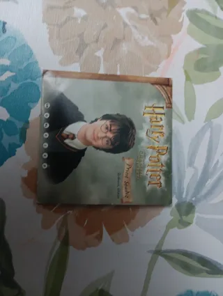 Harry Potter y la Cámara Secreta PC