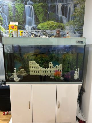 Acuario pecera de cristal