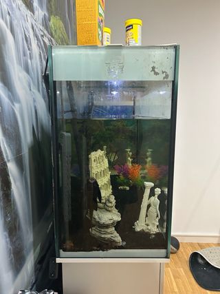 Acuario pecera de cristal