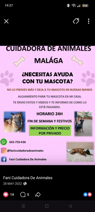 Cuidadora de animales en mi casa